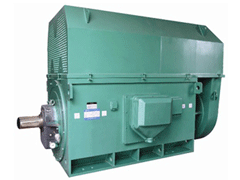 罗山Y系列6KV高压电机